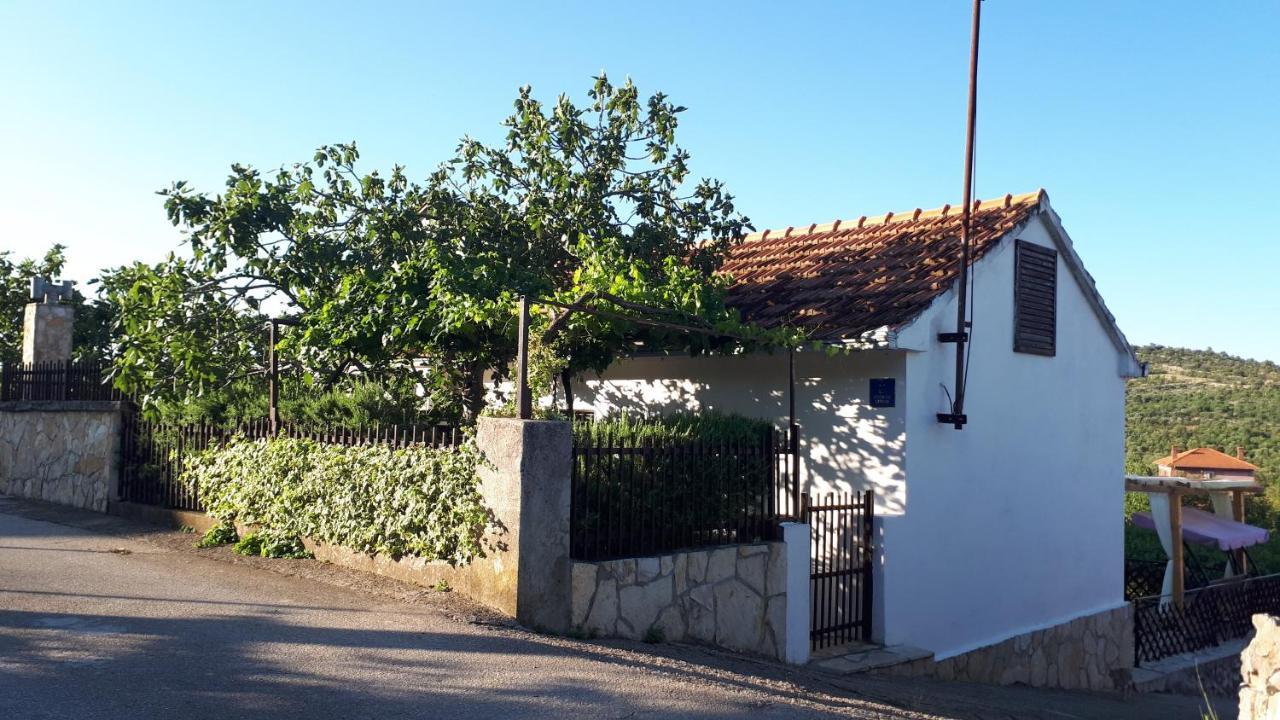 רוגוזניצה Luminaria Solis Vacation Home מראה חיצוני תמונה